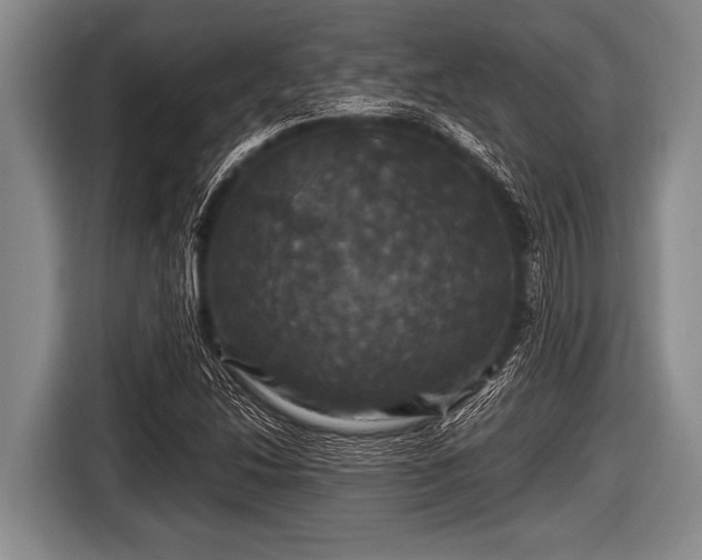 X0000116801214200912241154