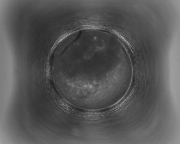 X0000116801215200912241154