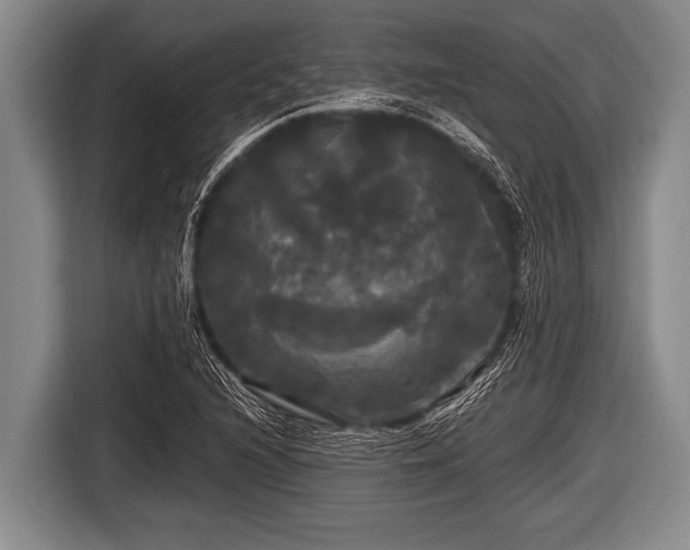 X0000116801216200912241154