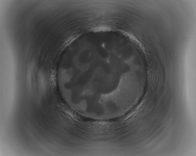 X0000116801217200912241154