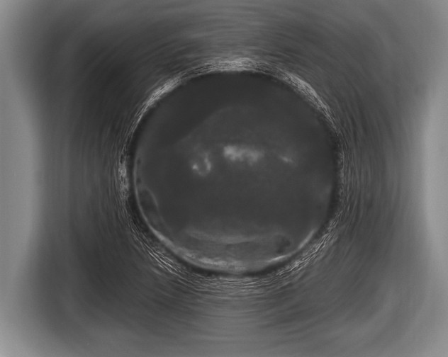 X0000116801218200912241154