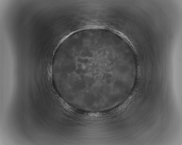 X0000116801220200912241154