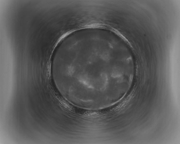 X0000116801222200912241155