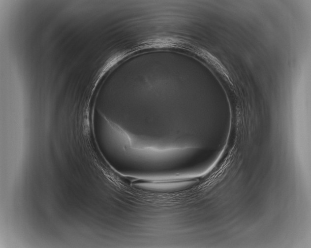 X0000116801226200912241155