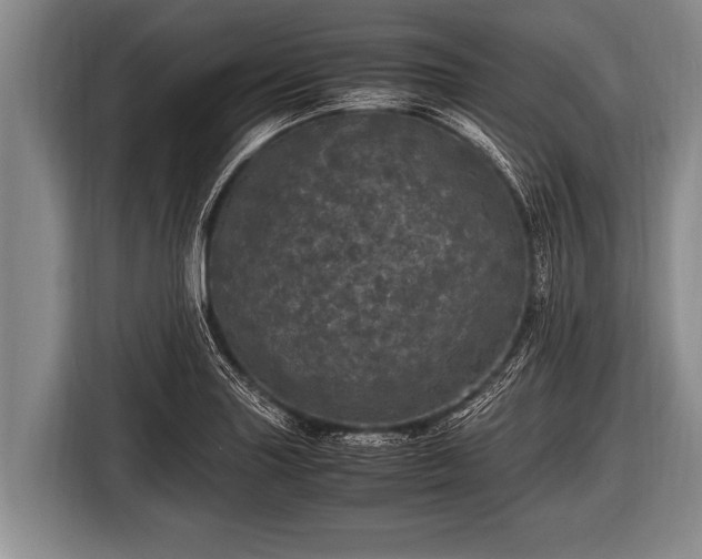 X0000116801227200912241155