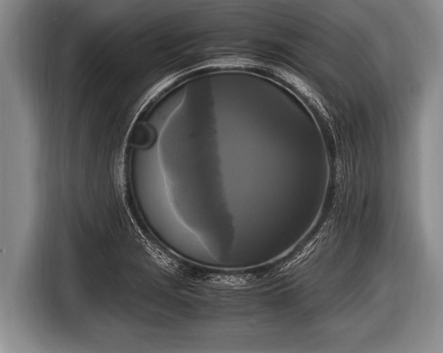 X0000116801229200912241155