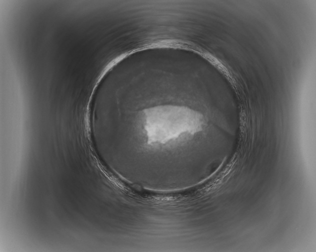 X0000116801230200912241155