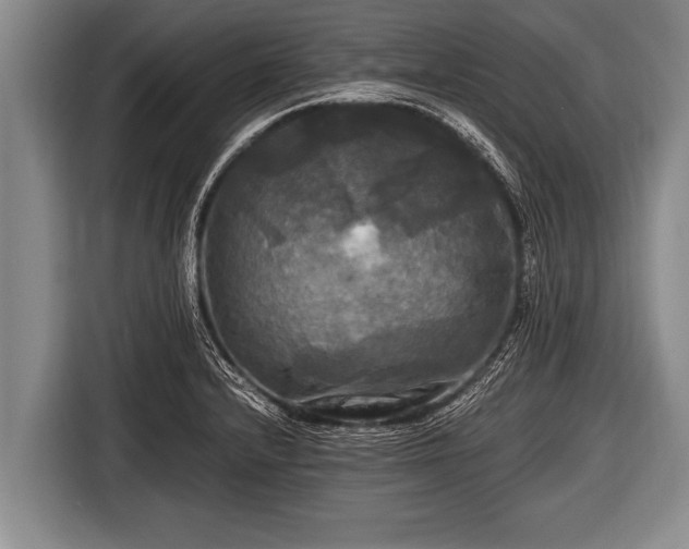 X0000116801232200912241155