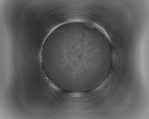 X0000116801236200912241155