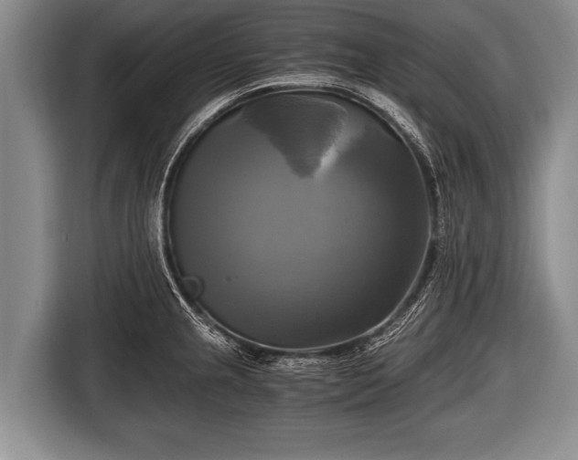 X0000116801237200912241155