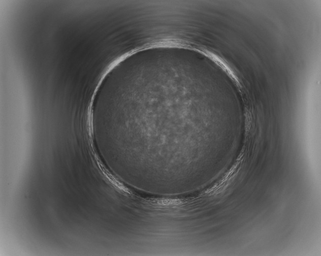 X0000116801238200912241155