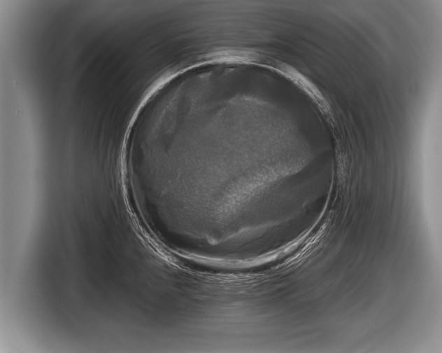 X0000116801240200912241155