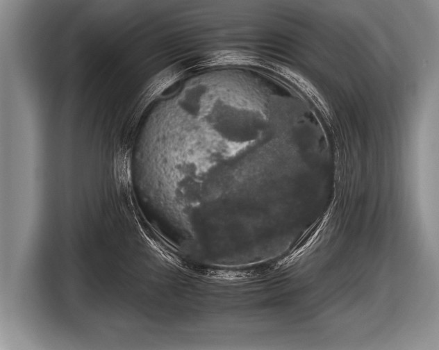 X0000116801241200912241155