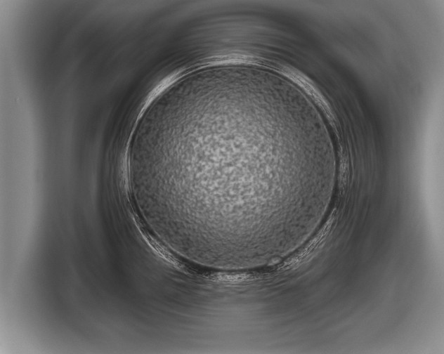 X0000116801242200912241155