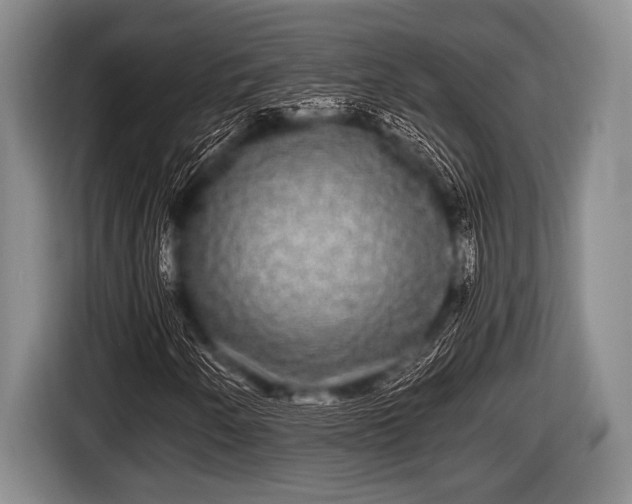 X0000116801250200912241154