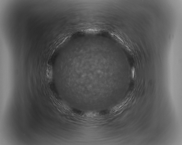 X0000116801251200912241154