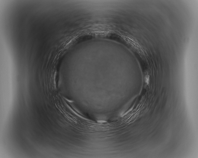 X0000116801252200912241154