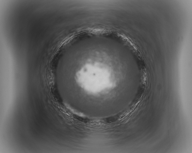 X0000116801253200912241154