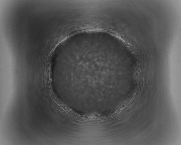 X0000116801255200912241154