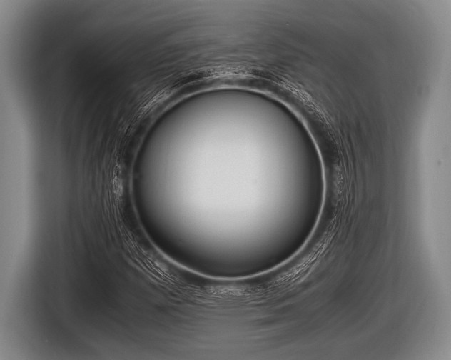 X0000116801257200912241154