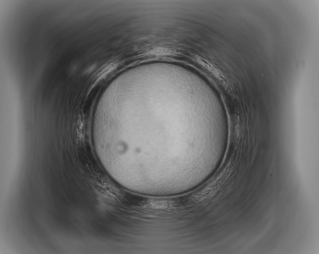 X0000116801258200912241154