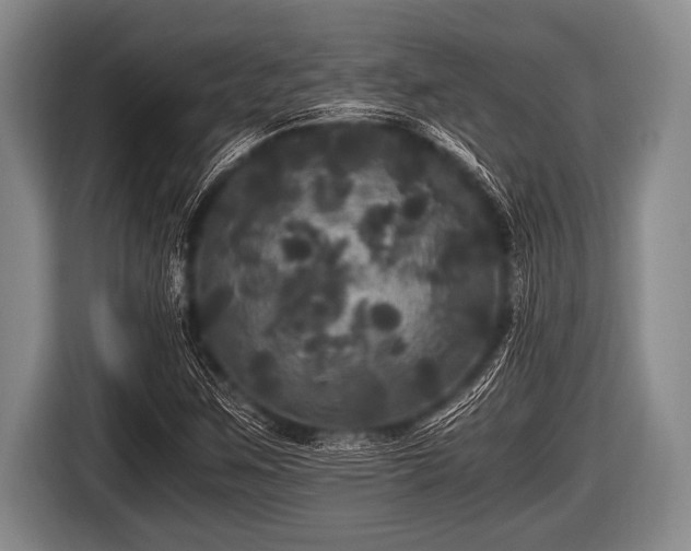 X0000116801259200912241154