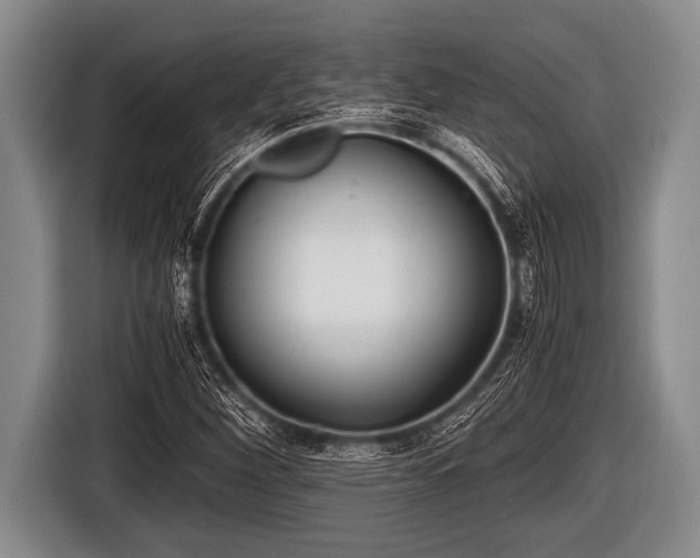 X0000116801260200912241154