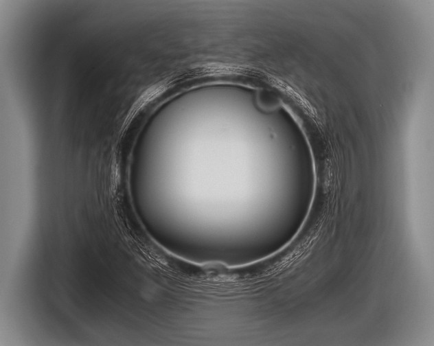 X0000116801261200912241154