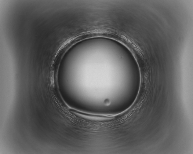 X0000116801262200912241154