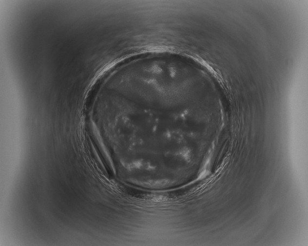 X0000116801263200912241154