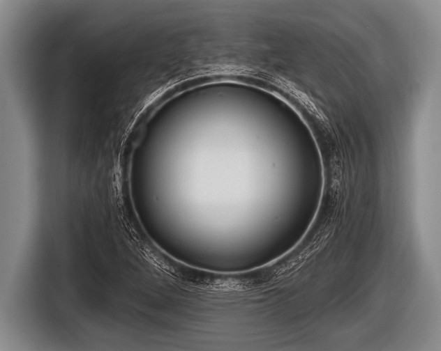 X0000116801264200912241154