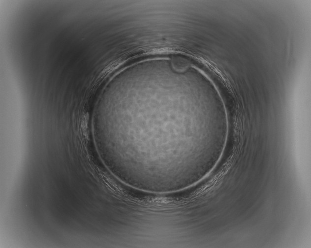 X0000116801265200912241154