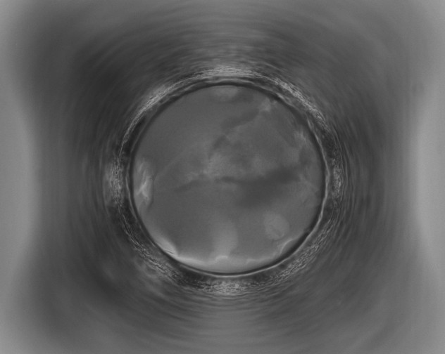 X0000116801266200912241154