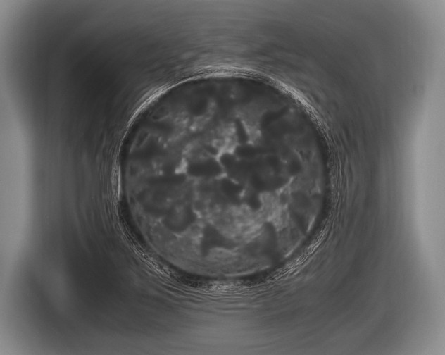 X0000116801267200912241154