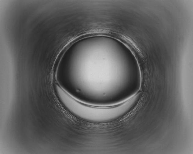 X0000116801268200912241154