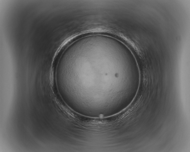 X0000116801270200912241154