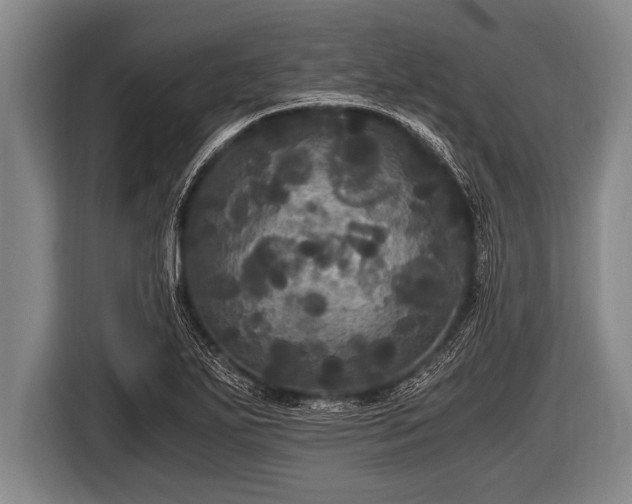 X0000116801271200912241154