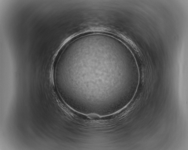 X0000116801272200912241154