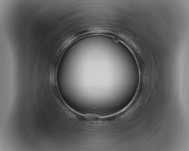 X0000116801273200912241154