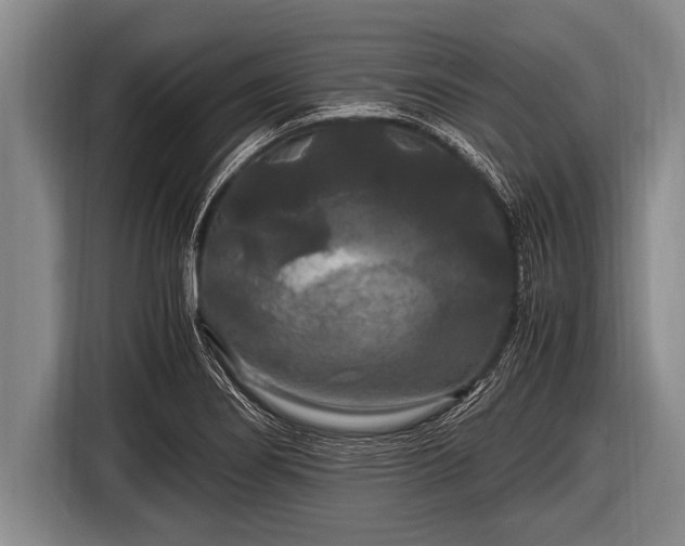 X0000116801274200912241154