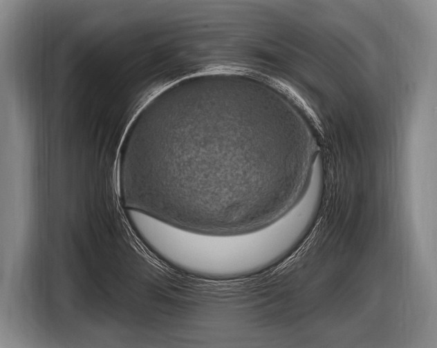 X0000116801276200912241154