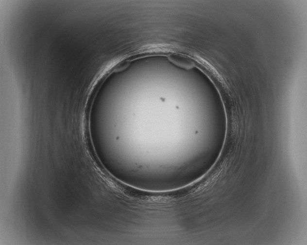 X0000116801277200912241154