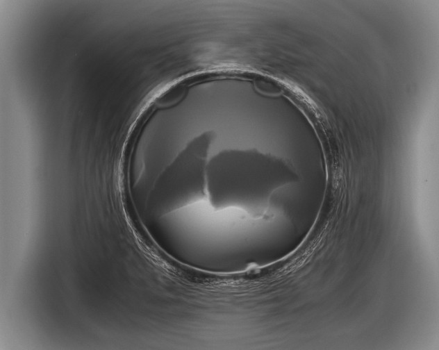 X0000116801279200912241154