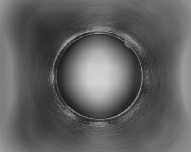 X0000116801280200912241154