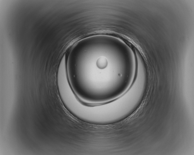 X0000116801281200912241154