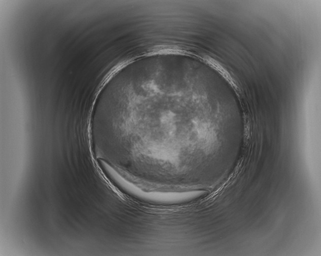 X0000116801282200912241154