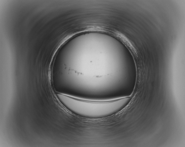 X0000116801284200912241154