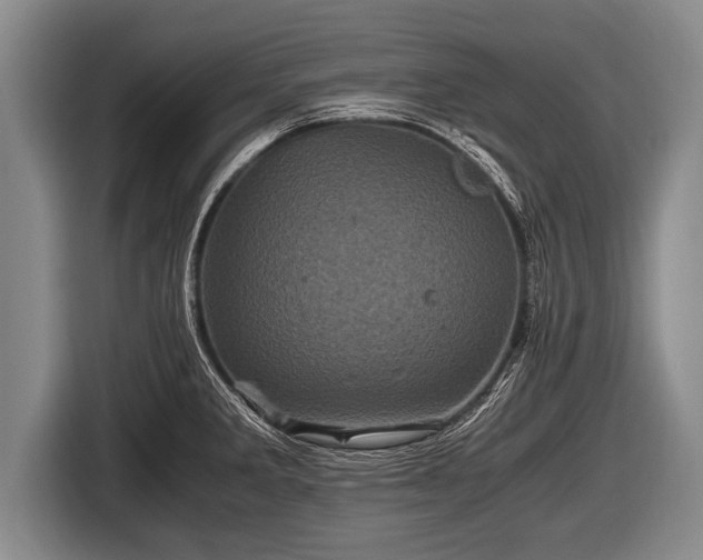 X0000116801285200912241154