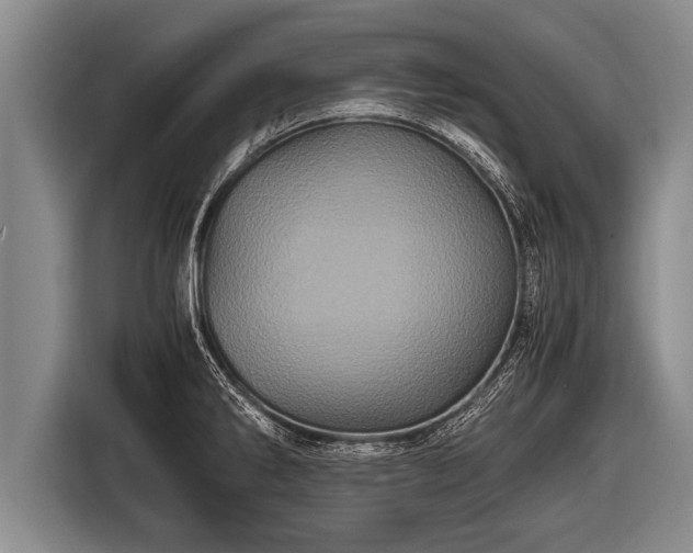 X0000116801286200912241154