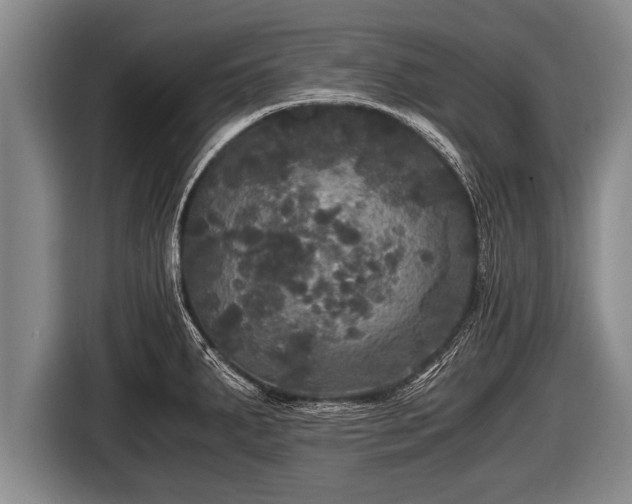 X0000116801287200912241154